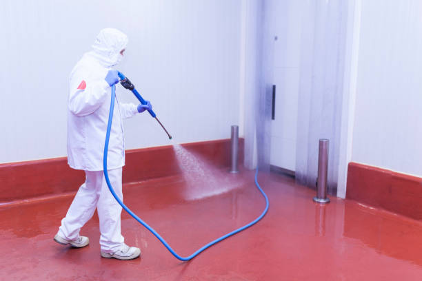 Best Soft Washing  in Euclid, OH